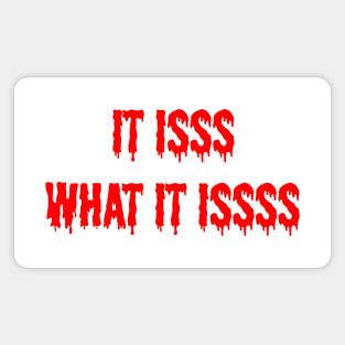it is what it is Magnet